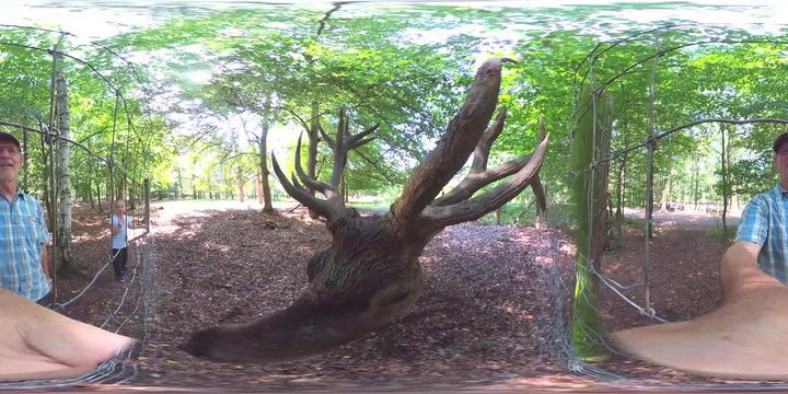 Alter Rothirsch am Zaun begutachtet Mann und M&auml;dchen, Cervus elaphus, VR, VR360, 360 VR