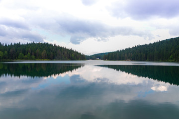 magnificent reflection of calm Black Lake and magnificent thick forest in Durmitor park, Montenegro © Shaganart