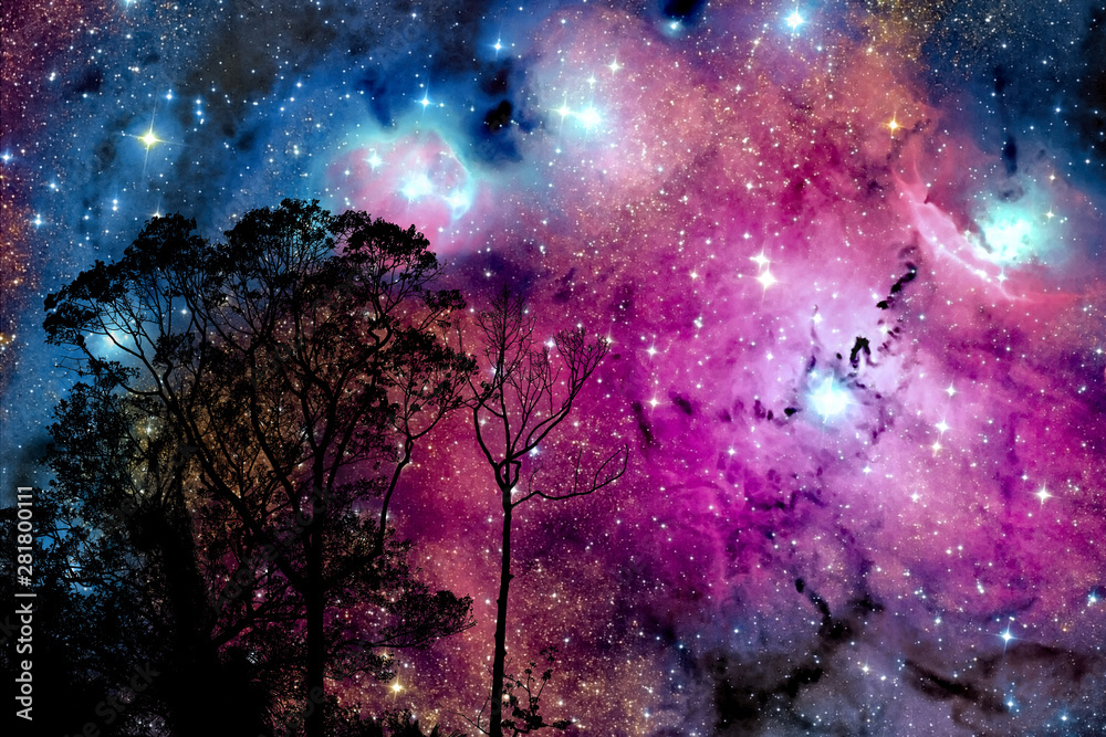 Wall mural blur nebula galaxy back on night cloud sunset sky silhouette branch and tree