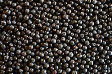 Background of fresh ripe bilberries