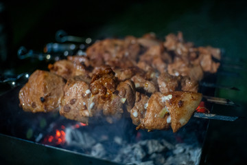 Close-up of grilled kebab on skewers on the grill at night, Selective focus