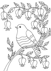 Obraz premium Bird sitting on a branch, coloring page