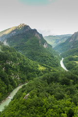 vertical view of The amazing landscape of the Tara canyon and Tara River in northern Montenegro, Zabljak