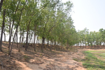 A very beautiful village of  india