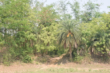 A very beautiful village of  india