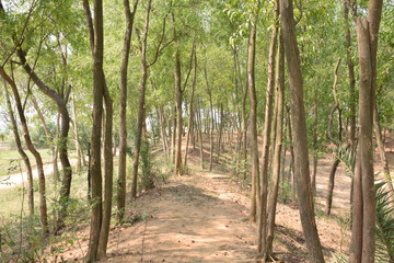 A very beautiful village of  india