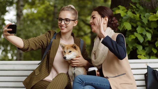 Medium shot of young pretty blonde woman holding telephone in her hand taking selfie with her mixed-race female friend and Shiba Inu sitting nearby on bench outdoors
