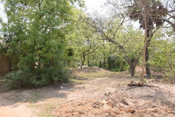 A very beautiful village of  india