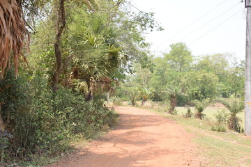 A very beautiful village of  india