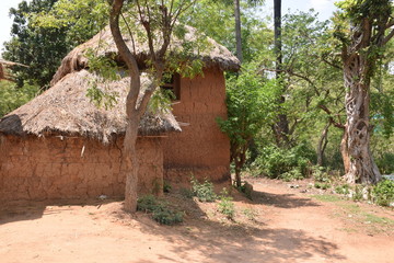 traditional house