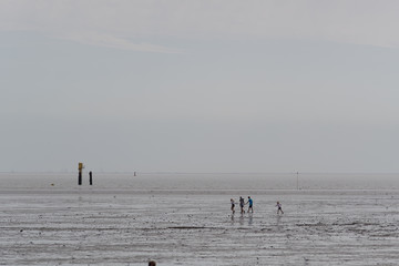 minimalistic scene on the beach / mud flat