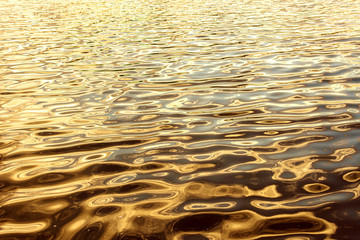 Ripple of river, lake, ocean, sea, pond, pool. The golden, yellow, gold, yellow color of water. - Background, Backdrop Concept