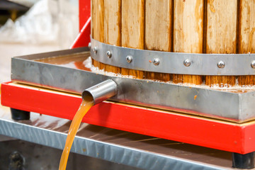 Pressing apple juice with a small apple press, before making cider with it