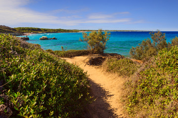 Protected oasis of the lakes Alimini: Turkish Bay (or Baia dei Turchi). Just a few kilometers north of Otranto, this coast is one of the most important ecosystems in Salento and Apulia (Italy).