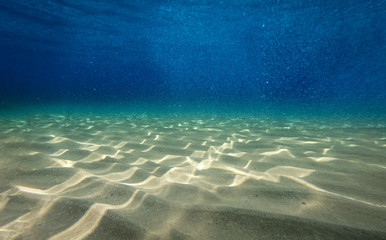 Underwater background with ocean water. At the bottom of the sea.