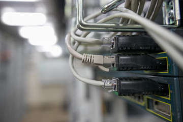Fiber Optical connector interface. Fibre Channel swich. Severs computer in a rack at the large data center.