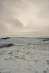 Winter scene in Wiltshire, The Deverilles .
