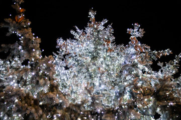 Sapin de Noël décoré et illuminé