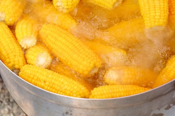 Boiled corn at the market