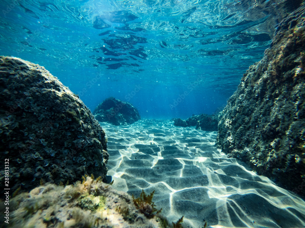 Wall mural underwater background with ocean water. at the bottom of the sea.