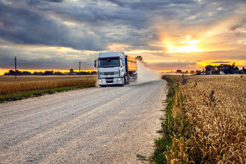 Grain truck on a rural road next to a rye field in the harvest season at sunset