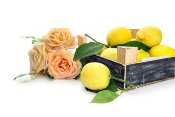 Still Life with roses and lemons close-up