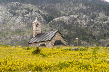 Fototapeta na wymiar natural scenery with old church and yellow flowers field ( korita village ) in Montenegro