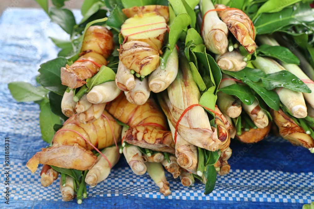 Sticker Lemongrass and galangal at the market