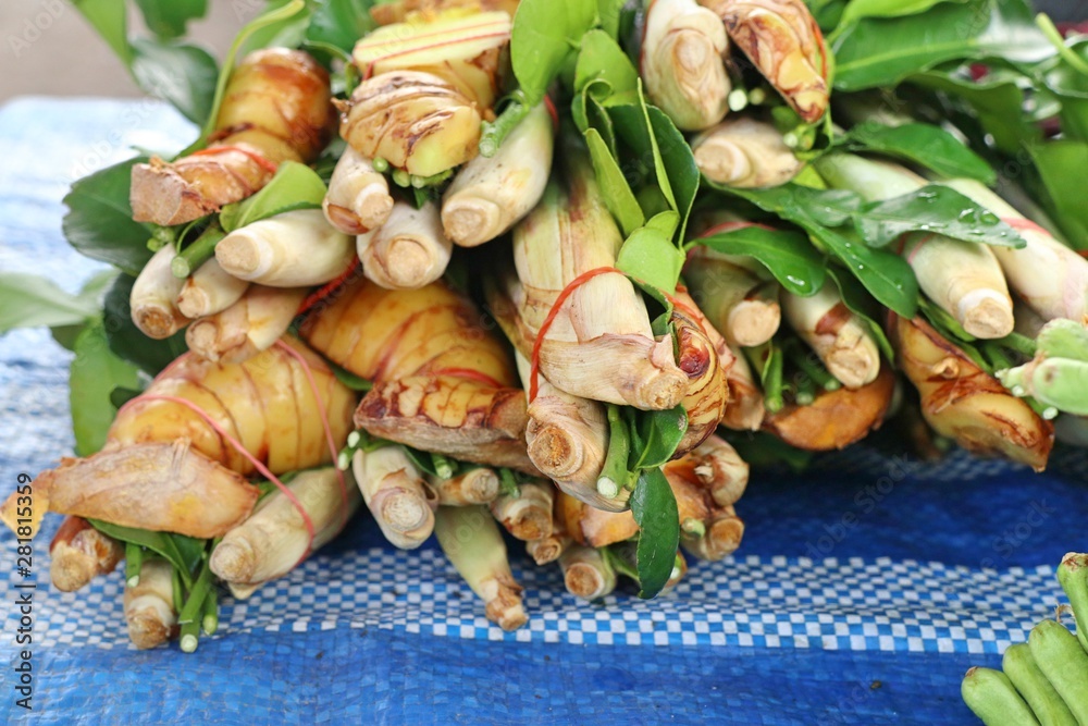 Sticker lemongrass and galangal at the market