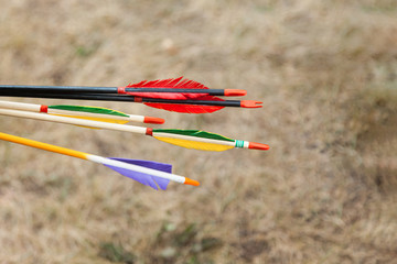 Field archery competitions. Several bow arrows. Traditional archery. Tournament.