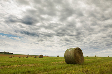 Field of haybales in South Dakota with dramatic cloudy sky, wide angle shot