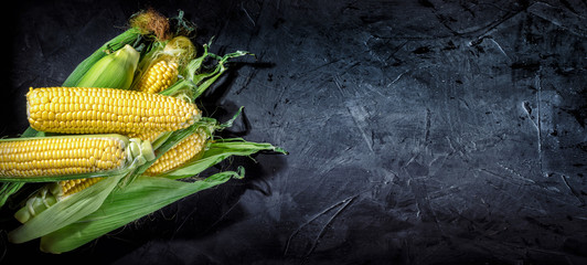 Fresh yellow maize. Raw organic sweet corn cobs on black table. Top view with copy space