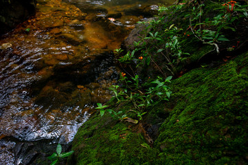 Natural waterfall, shoulder river, through the top of the mountain