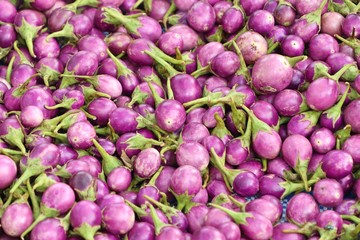 purple eggplant at the market