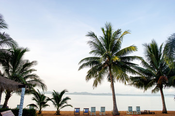 Fototapeta na wymiar Coconut trees and sea, beautiful natural scenery