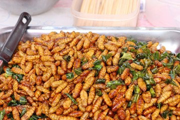 Fried insect at street food