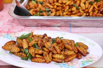 Fried insect at street food