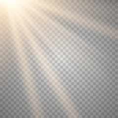 Vector transparent sunlight special