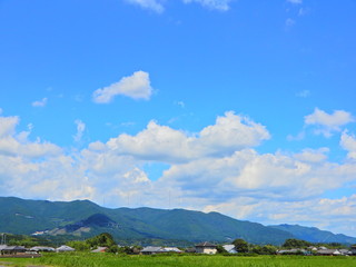 Fototapeta premium 田舎