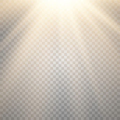 Vector transparent sunlight special