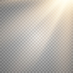 Vector transparent sunlight special