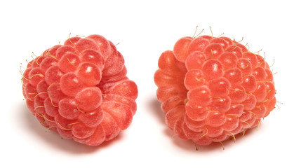  two raspberries on a white background