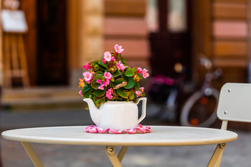 Flowers in flowerpot made from teapot on white table