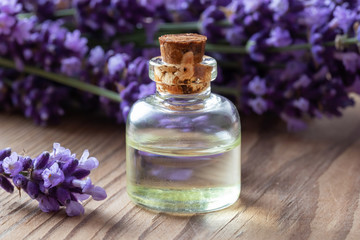 Obraz na płótnie Canvas A bottle of lavender essential oil and fresh plant
