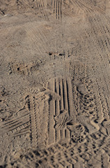 tire marks in the sand