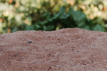 View of the soil in the farm