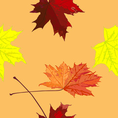 Fototapeta na wymiar Seamless pattern, drawing of maple leaves, autumn, horizontally vertical
