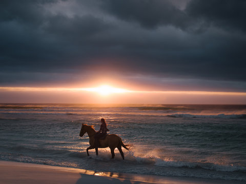 Female Riding Horse Along The Beach