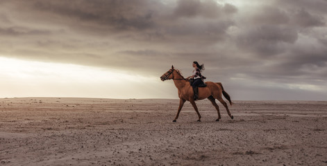Woman horseback riding on beach at sunset