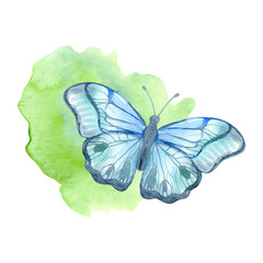 Beautiful watercolor flyer design with blue watercolour on colorful background for decoration design. Trendy texture. Elegance background. Watercolor abstraction. Blue butterflies